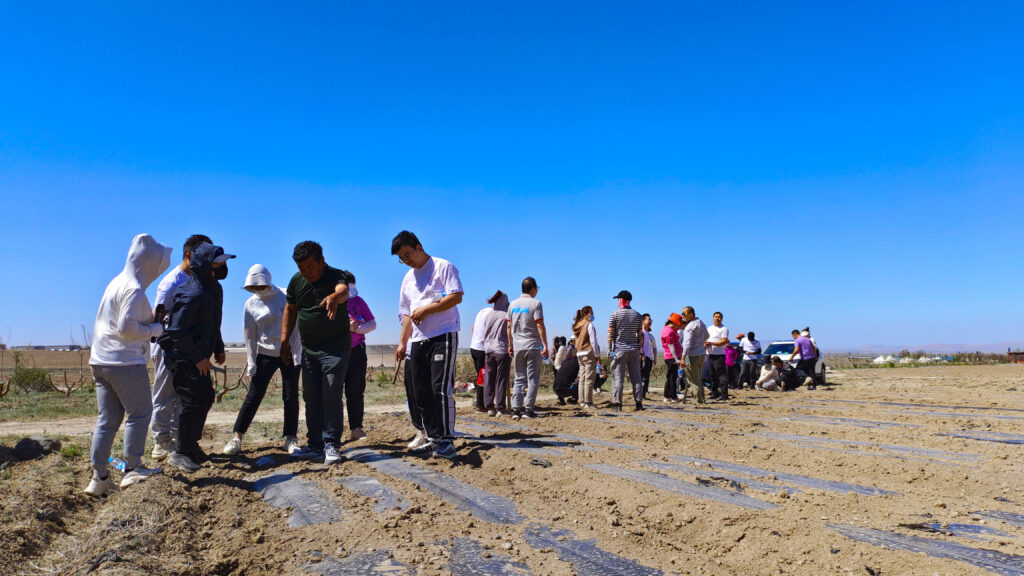 走进田园 播种希望|尊龙凯时人生就是搏物流春种团建活动