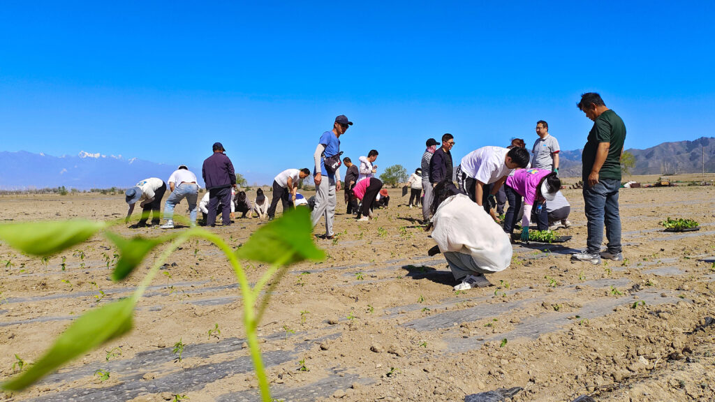 走进田园 播种希望|尊龙凯时人生就是搏物流春种团建活动