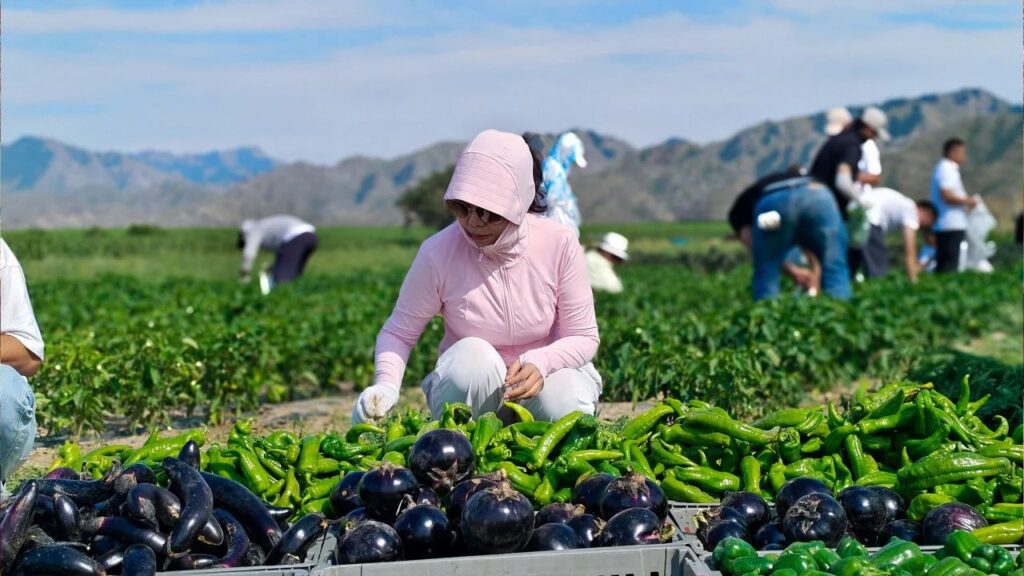 夏日最美群像 | 尊龙凯时人生就是搏物流2024年中团建特辑